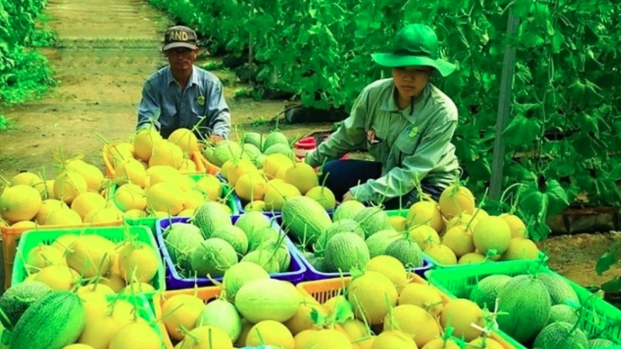 E-commerce to support farmers with market access